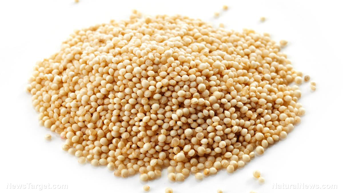 Amaranth sources, health benefits, nutrients, uses and constituents