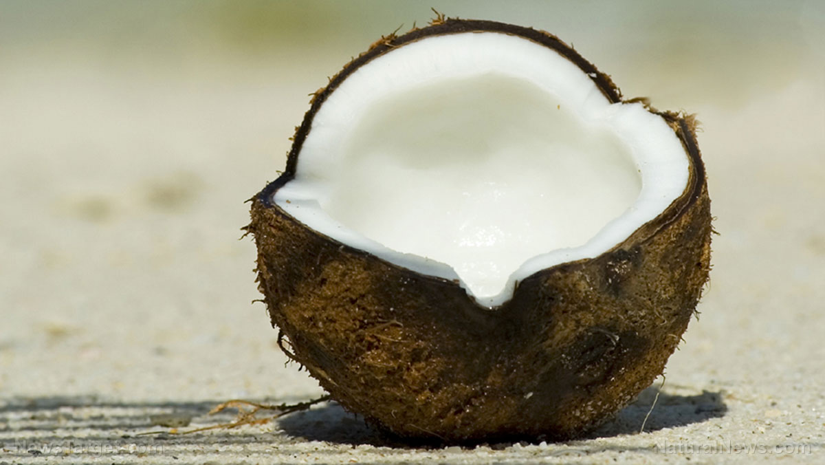 Coconut sources health benefits nutrients uses and constituents at