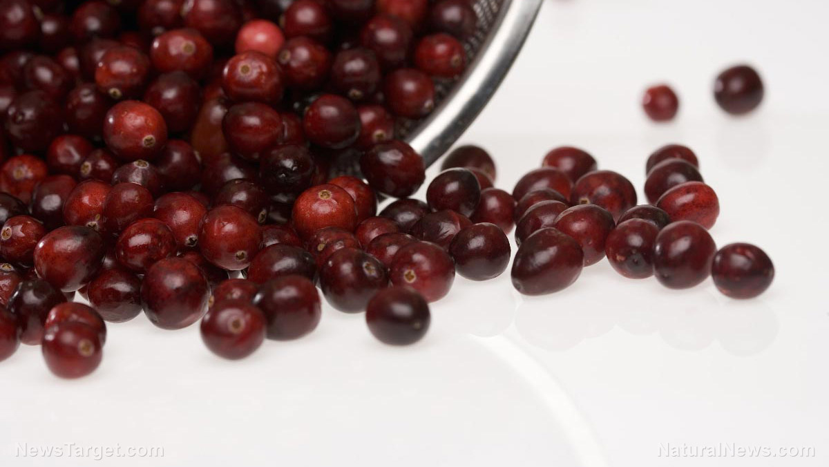 Cranberries sources, health benefits, nutrients, uses and