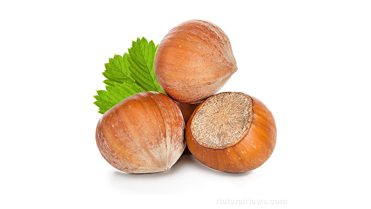 Hazelnuts sources, health benefits, nutrients, uses and constituents at