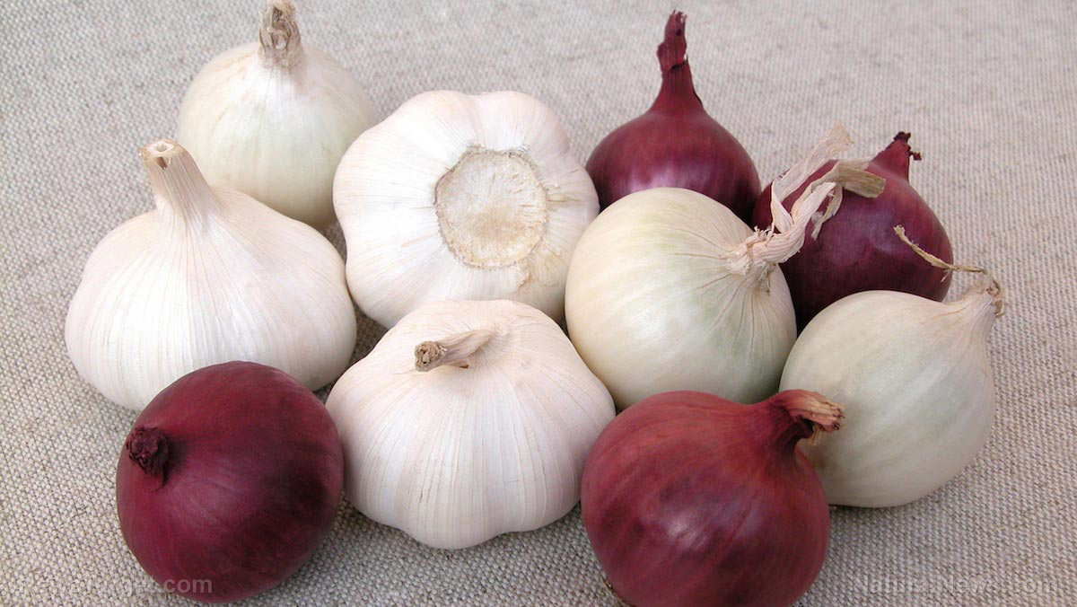 Garlic sources, health benefits, nutrients, uses and constituents at